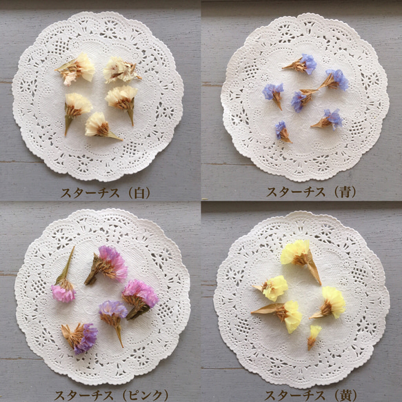 選べるナチュラルドライフラワー小さな花材パレット/レジン封入・ワックスバー・ガラスドーム等に♪/スターチス・ラベンダー 6枚目の画像