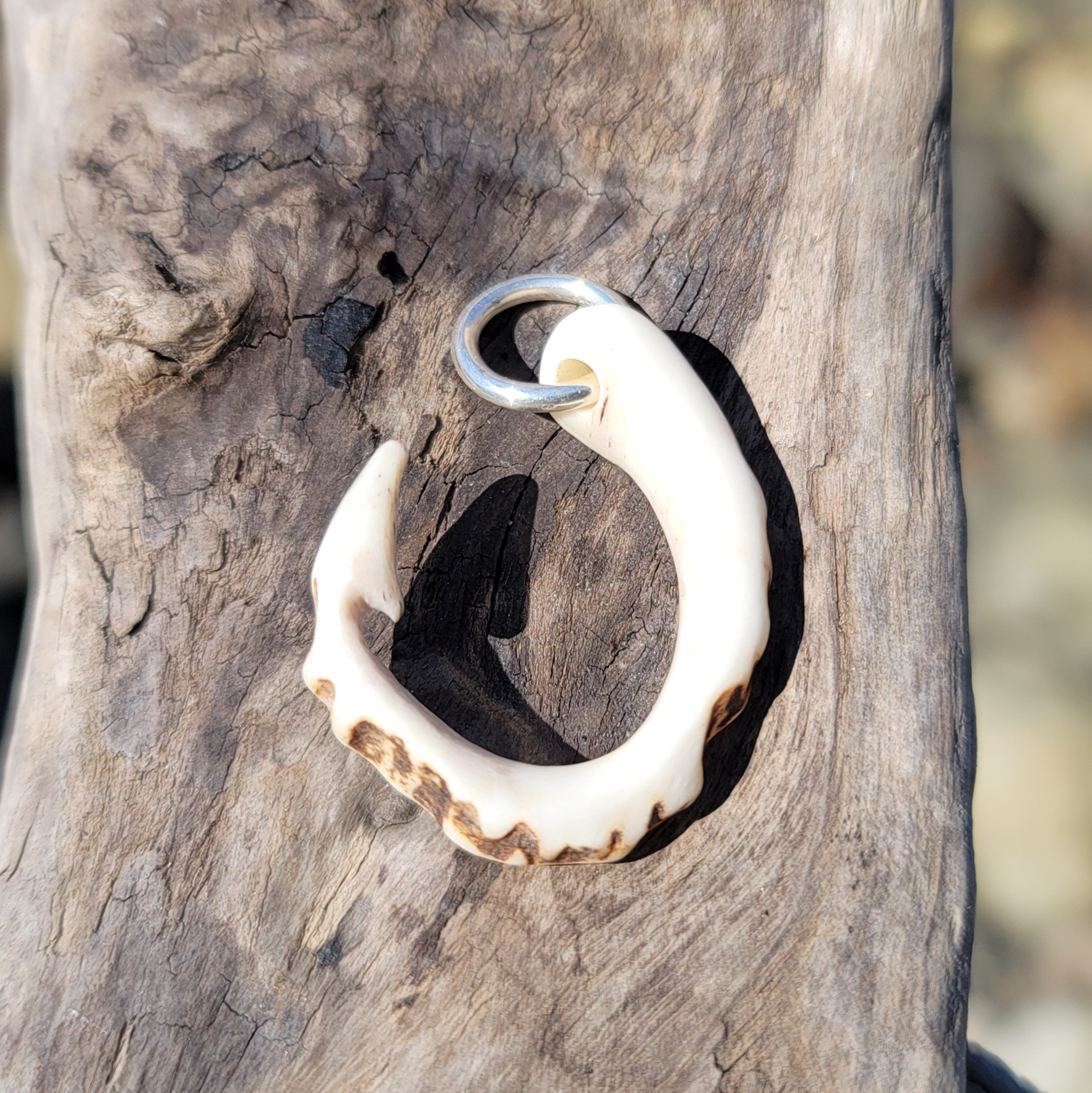 鹿の角＆タイガーアイのペンダント 鹿の角 ネックレス2 | cycle