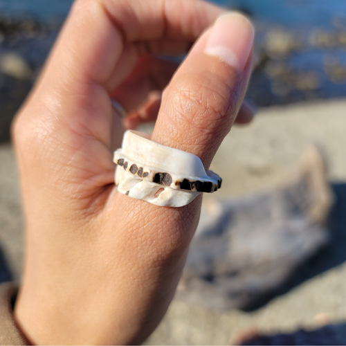 定番の中古商品 リング フェザー 鹿の角 約14号 鹿角工房 指輪・リング アクセサリー
