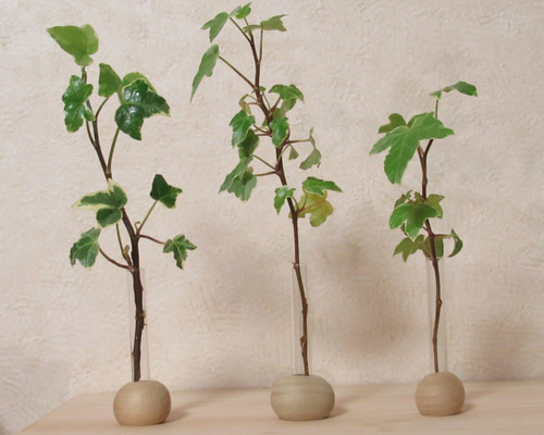 無垢の木の一輪挿し・楢１３（ドライフラワー専用）花器 花瓶 ナラ 一輪挿し・花瓶・花器 フロストクラフト 通販｜Creema(クリーマ)  16411742