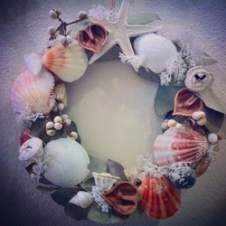 Shell wreath (M)Ⅰ 1枚目の画像