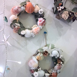 Shell wreath (M)Ⅰ 3枚目の画像