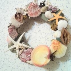 Shell wreath (M) peal 2枚目の画像