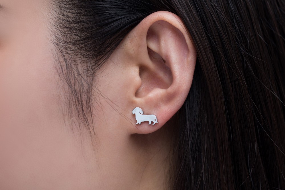 イヤリング おイモちゃま専用♡animalピアス