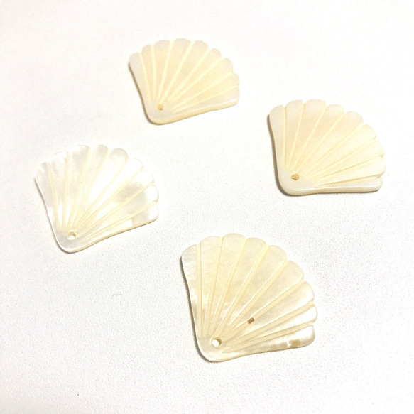 「#3725」 天然 貝殻  シェル パーツ ✴︎2枚セット 2枚目の画像