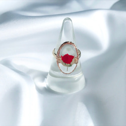 Red Rose Ring . 《Clear》 1枚目の画像