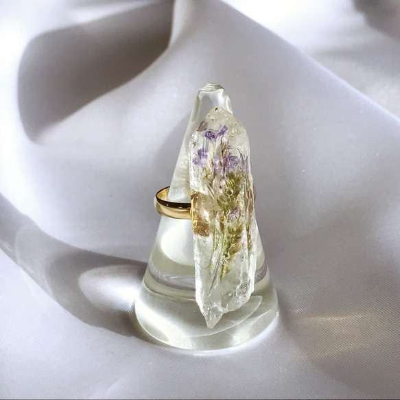 Dryflower ring /La 2枚目の画像