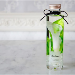 大人ハロウィンハーバリウム ニゲラ 選べるボトル ハーバリウム・植物