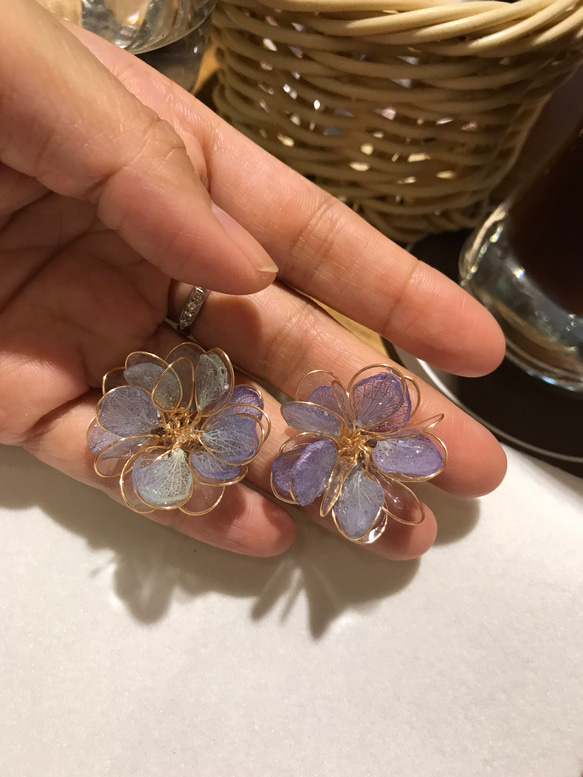Pigtail 真花紫陽花球貼耳款（藍紫色） 第4張的照片