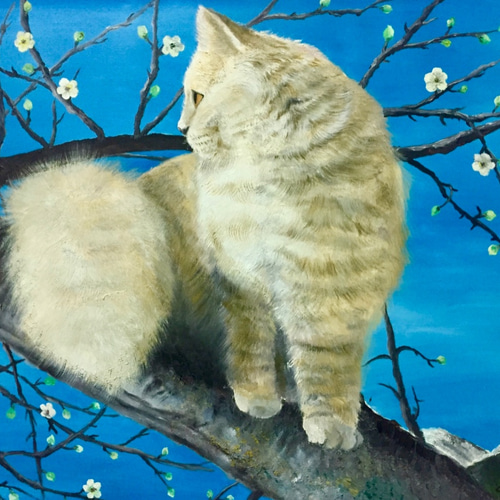まるまる猫 | カトフレ STORE