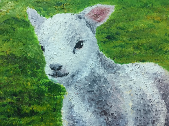 小小羊兒，油畫 第2張的照片