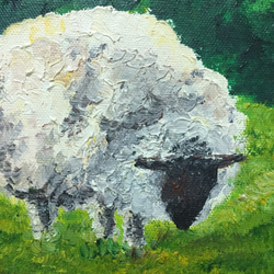 小小羊兒，油畫 第3張的照片