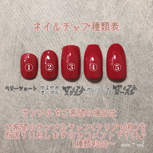 ネイルチップ 計測用 サンプルチップ 2種類 ネイルチップ（つけ