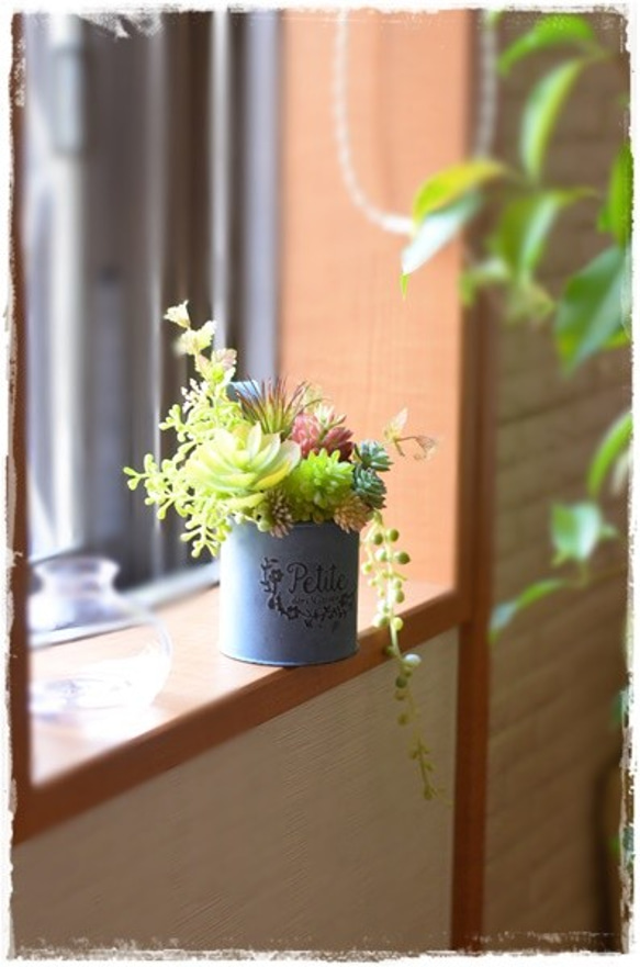 【アート】プニプニ質感もかわいい多肉植物アレンジ　お一人住まいの小スペースに、ほっこり癒されます 6枚目の画像