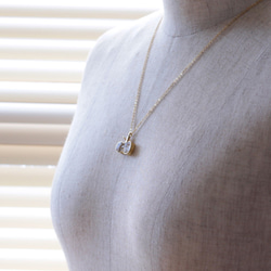 可見籽蘋果 | 項鍊 | N457 第5張的照片