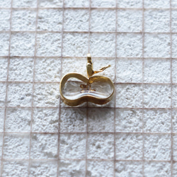 可見籽蘋果 | 項鍊 | N457 第6張的照片