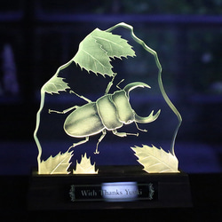 オオクワガタ虫のLED照明付き小さなエッチングガラス パネルオブジェ　　 4枚目の画像