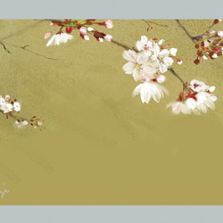 ポストカード　ミモザのころ　　桜と木蓮　檜扇水仙（クロコスミア）桜 4枚目の画像