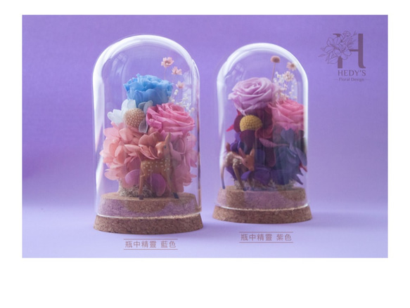 Hedy's ❤️[瓶中精靈*紫玫瑰/藍玫瑰] 永生花乾燥花禮物 玻璃盅微景觀 日本進口永生玫瑰 繡球花 折扣中❤️ 第2張的照片