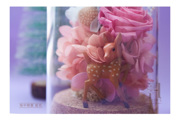 Hedy's ❤️[瓶中精靈*紫玫瑰/藍玫瑰] 永生花乾燥花禮物 玻璃盅微景觀 日本進口永生玫瑰 繡球花 折扣中❤️ 第8張的照片