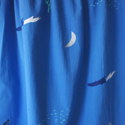 銀色月亮、藍白海浪、黑色小狗---口袋及膝A字海的裙子 第6張的照片