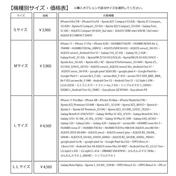  第6張的照片