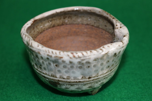ミニ盆栽鉢（アワビ形三島手）（作品番号J-003） 3枚目の画像