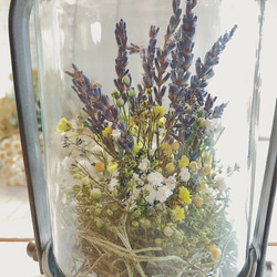 フラワーボトル  〜lavender〜初夏 2枚目の画像