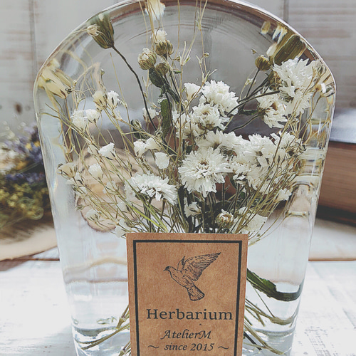 out ❁ミニスワッグ 標本フレーム&ミニハーバリュウムset❁ out ❁ミニ