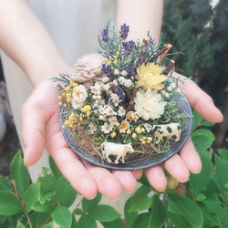 フラワーアレンジメント 〜小さな丘の花畑〜 ドライフラワー Hana 通販