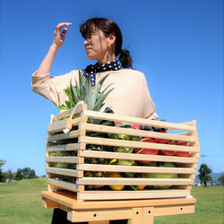 【NEW】野菜ストッカー（ワイヤーバスケット2個付）おもちゃ収納　キッチンワゴン NEW】野菜ストッカー（ワイヤーバスケット2個付） おもちゃ収納