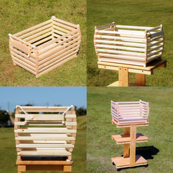 野菜バスケット　リニューアルしました！ 2枚目の画像