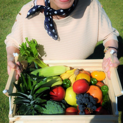 野菜バスケット　リニューアルしました！ 3枚目の画像