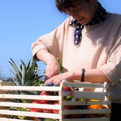 野菜バスケット　リニューアルしました！ 5枚目の画像