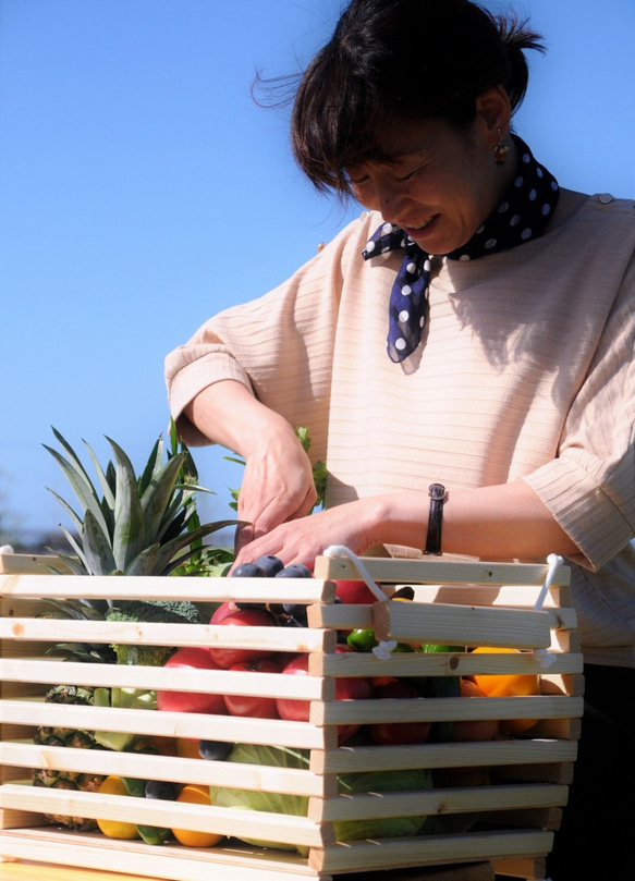 野菜バスケット　リニューアルしました！ 5枚目の画像