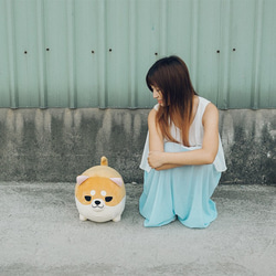 柴犬アワぬいぐるみ 3枚目の画像