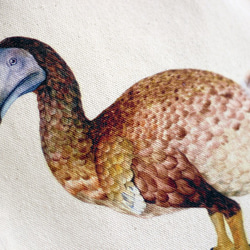 滅絕的動物肖像布海報（多多鳥款）/A4尺寸布海報 第2張的照片