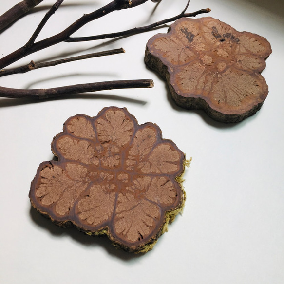 Carved_Chrysanthemum Coaster-Small 3枚目の画像