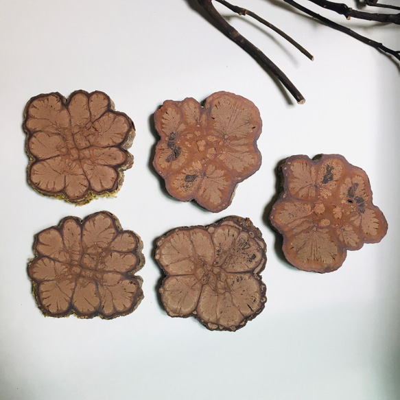 Carved_Chrysanthemum Coaster-Small 4枚目の画像