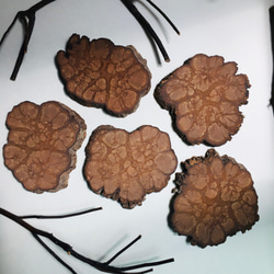 Carved_Chrysanthemum Coaster-Middle 4枚目の画像