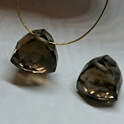 化石が産んだ宝石 珍しい3カラーの煌めきカナディアンアンモライト