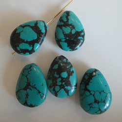 化石が産んだ宝石 メタリックブルーグリーンカナディアンアンモライト