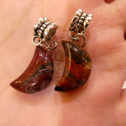 化石が産んだ宝石 メタリックブルーグリーンカナディアンアンモライト