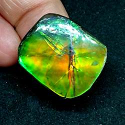 セール　化石が産んだ宝石　美しいベルベットグリーンカナディアンアンモライト ルース　 23x19.5mm 1枚目の画像