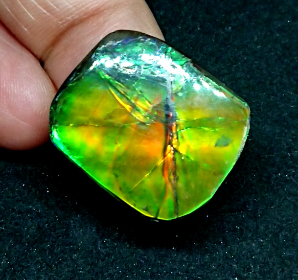 セール　化石が産んだ宝石　美しいベルベットグリーンカナディアンアンモライト ルース　 23x19.5mm 1枚目の画像