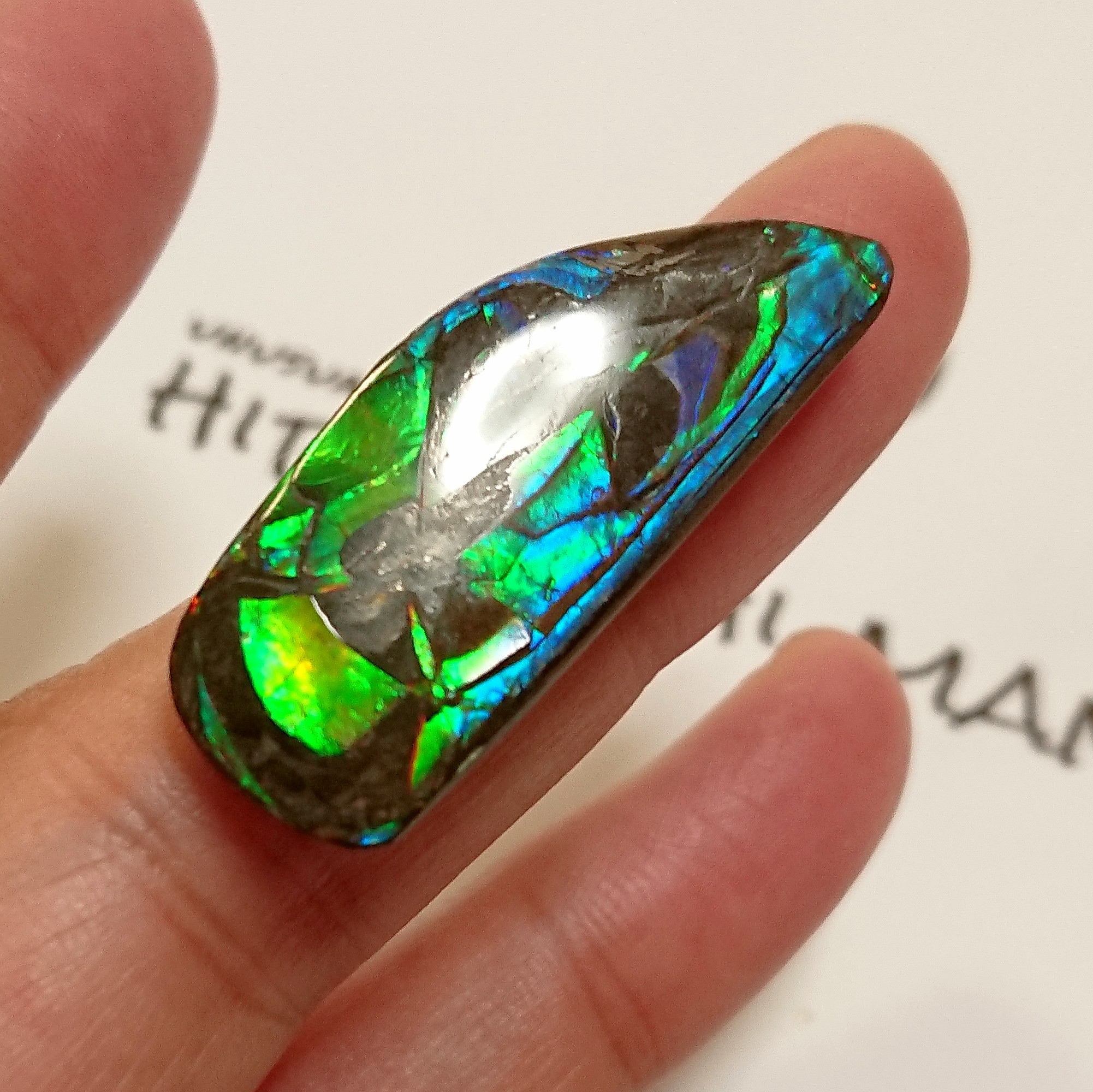 宝石ルース アンモライト 化石 Ammolite /約9.8g/1個 カナダ産