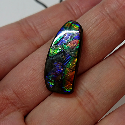 化石が産んだ宝石 珍しい3カラーの煌めきカナディアンアンモライト