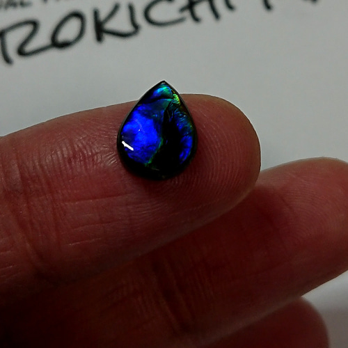 化石が産んだ宝石 小粒なのに冴えたメタリックブルーが美しい