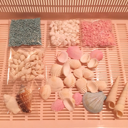貝 貝殻の詰め合わせ 75個 カラーサンドセット 1枚目の画像