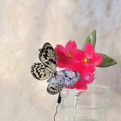 かんざし「蝶とさくら」 髪飾り　 1枚目の画像